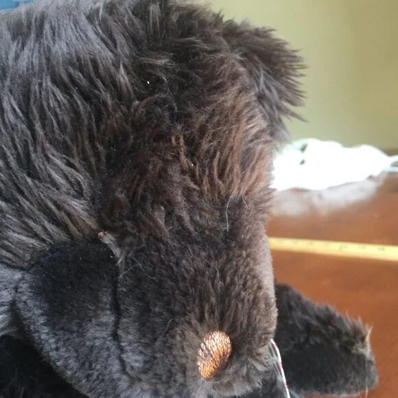 Brown Bear - Picture 8 of 11